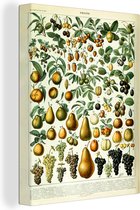 Canvas - Fruit - Druiven - Kersen - Bladeren - Canvas schilderijen woonkamer - Muurdecoratie - 60x80 cm