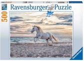 Volwassenen Puzzel 500 stukjes Paard op het strand