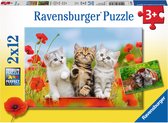 Puzzel 2x12 stukjes Katjes op ontdekkingsreis