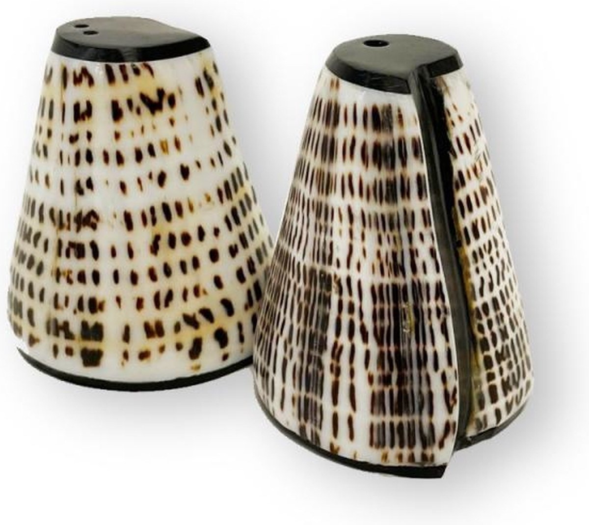 De Salt and Peppa Schelpen Set - Set van 2