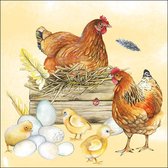 60x Pasen thema tafel servetten in kippen/kuikens thema 25 x 25 cm - Van papier