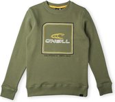 O'Neill Trui ALL YEAR CREW - Deep Lichen Green - 104