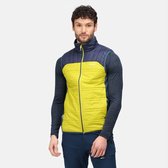 Regatta Halton Bodywarmer Vest Men, groen/blauw Maat XXL