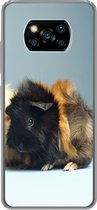 Geschikt voor Xiaomi Poco X3 NFC hoesje - Twee kleine cavia's - Siliconen Telefoonhoesje