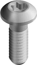 torx bout M4 x 12 mm RVS zilver 100 stuks