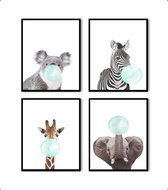 Poster Set 4 zebra koala giraf olifant met groene kauwgom / Kauwgombel / 50x40cm