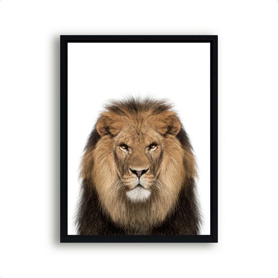 Poster Jungle / Safari leeuw hoofd / Jungle / Safari / 30x21cm