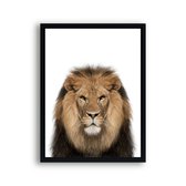 Poster Jungle / Safari leeuw hoofd / Jungle / Safari / 30x21cm