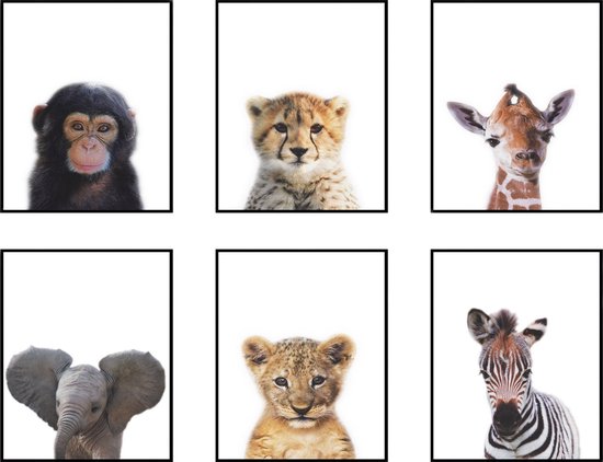 Schilderij Canvas Jungle Set 6 Baby Aapje, Zebra, Giraffe, Olifant, Cheeta en Tijger / Dieren Schilderij / Baby - Kinderkamer Schilderij / Babyshower Cadeau / Muurdecoratie / 30 x 20cm