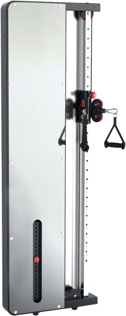 Toorx Fitness PRX-3000 Single Pulley
