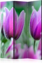 Vouwscherm - Purple spring tulips [Room Dividers]