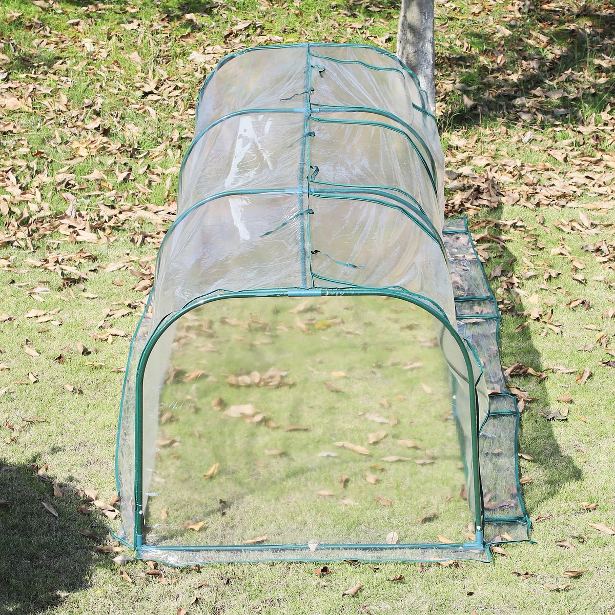 Kas kweekkas koude kas met deur plantenkas planten kweken staal PVC | Netherlands Kas kweekkas koude kas met deur plantenkas planten kweken staal PVC | Netherlands