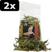 2x BEARDED DRAGON MIX 80GR