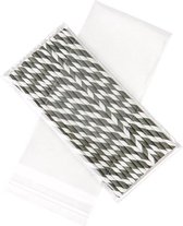 Plastiek Zakken 11.5x22cm Transparant en Hersluitbaar (100 stuks) | Plastic zak