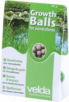 groeibollen 185 gram klei/mest groen/wit 50 stuks