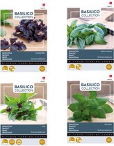 Kruidenzaden, set van 4 soorten Basilicum | Basilicum Thai | Basilicum Italiano Classico | Basilicum Blue Spice | Basilicum Purple Ruffles