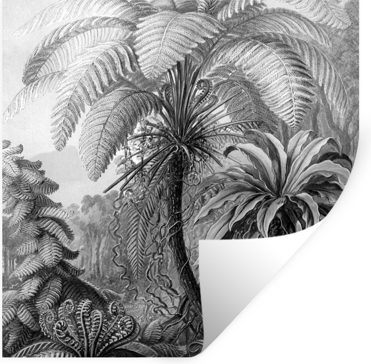 Muurstickers - Sticker Folie - Planten - Zwart wit - Design - Illustratie - Botanisch - 10