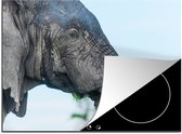 KitchenYeah® Inductie beschermer 65x52 cm - Olifant - Dieren - Grijs - Natuur - Kookplaataccessoires - Afdekplaat voor kookplaat - Inductiebeschermer - Inductiemat - Inductieplaat mat