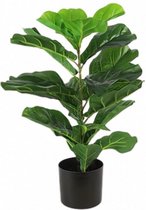 kunstplant Ficus Lyrata 35 x 30 x 70 cm groen