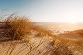 Poster - Zicht vanuit de Duinen, Prachtige Noordzee, Premium Print, incl bevestigingsmateriaal