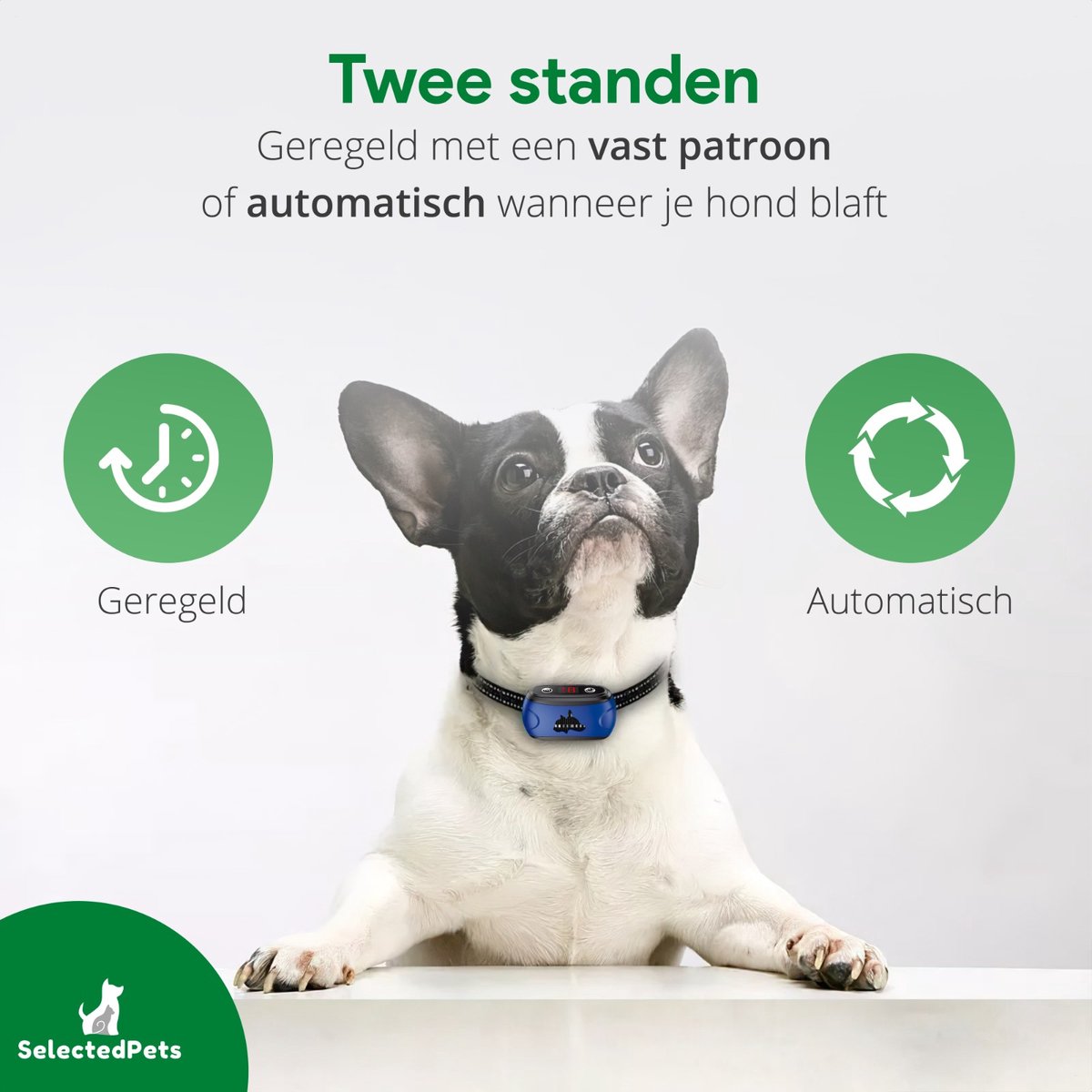 Anti blafband Blafband voor honden Blafband grote en kleine hond Automatische... Anti blafband Blafband voor honden Blafband grote en kleine hond Automatische...