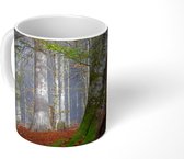Mok - Dikke bomen in het Nationaal Park Bayerischer Wald - 350 ML - Beker - Uitdeelcadeautjes