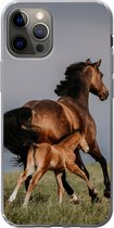 Geschikt voor iPhone 12 Pro hoesje - Dieren - Paarden - Veulen - Siliconen Telefoonhoesje