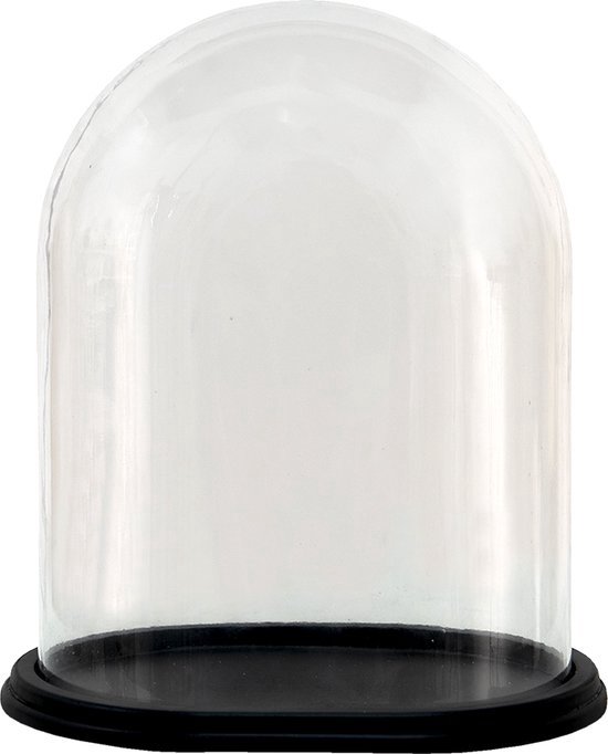 Stolp 27*19*30 cm Transparant Hout, Glas Glazen Stolp