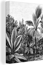Canvas Schilderij Planten - Natuur - Design - Illustratie - Ernst Haeckel - 90x120 cm - Wanddecoratie