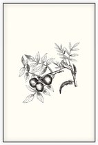 Walnoot zwart-wit (walnut) - Foto op Akoestisch paneel - 150 x 225 cm