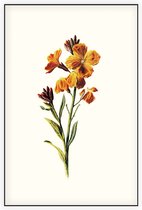 Muurbloempje (Wallflower White) - Foto op Akoestisch paneel - 60 x 90 cm