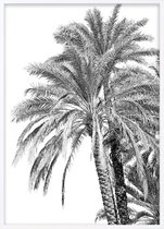 Poster Met Witte Lijst - Oman de Palm Poster