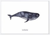 Poster Met Witte Lijst - Walvis Poster