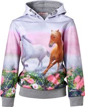 Meisjes grijze trui hoodie met paarden | Maat 92/2Y