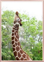 Poster Met Metaal Rose Lijst - Elegante Giraffe Poster