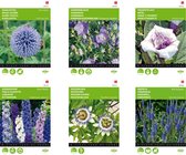 Cactula meerjarige bloemenzade Blauw / Lila 6 soorten | Ereprijs Blue Bouquet | Karpatenklokje Blauw |  Ridderspoor Giant Pacific gemengd |  Kogeldistel Blue Globe |  Trompetplant