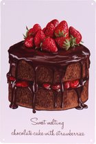 Metalen plaatje chocoladetaart - 21x33 cm