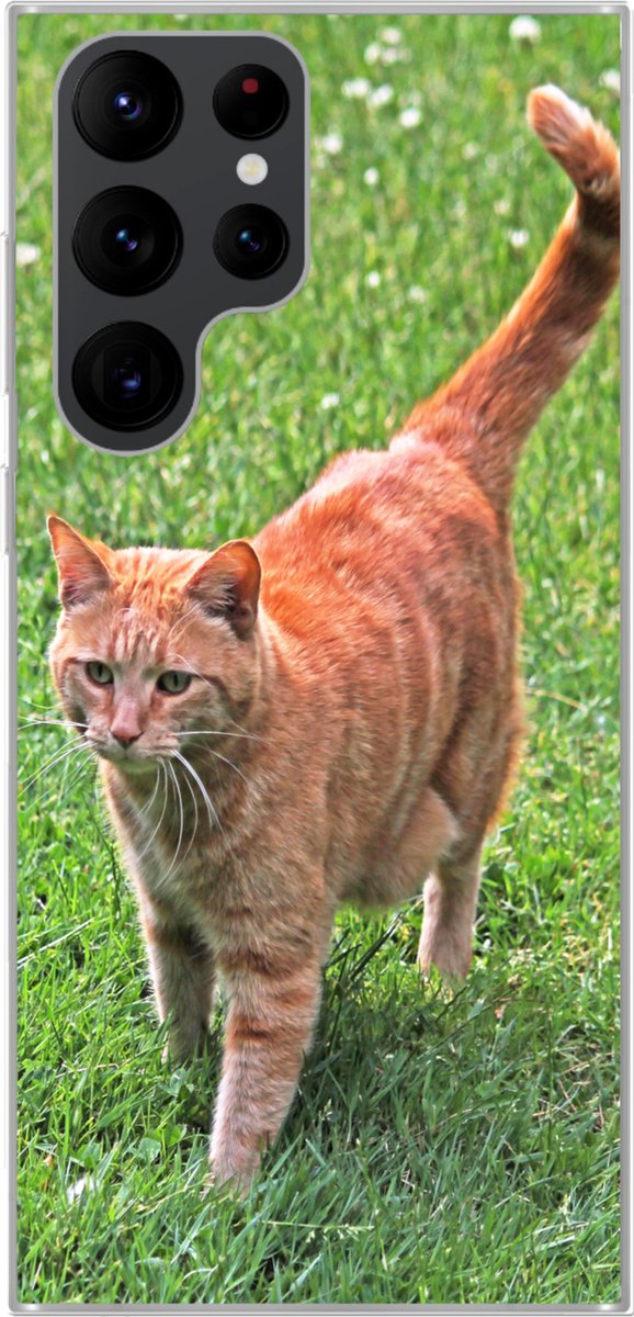 Telefoonhoesje Geschikt voor Samsung Galaxy S22 Ultra hoesje - Kat - Rood - Kater - Meisjes - Kinderen - Jongens - Kind - Siliconen Telefoonhoesje Telefoonhoesje