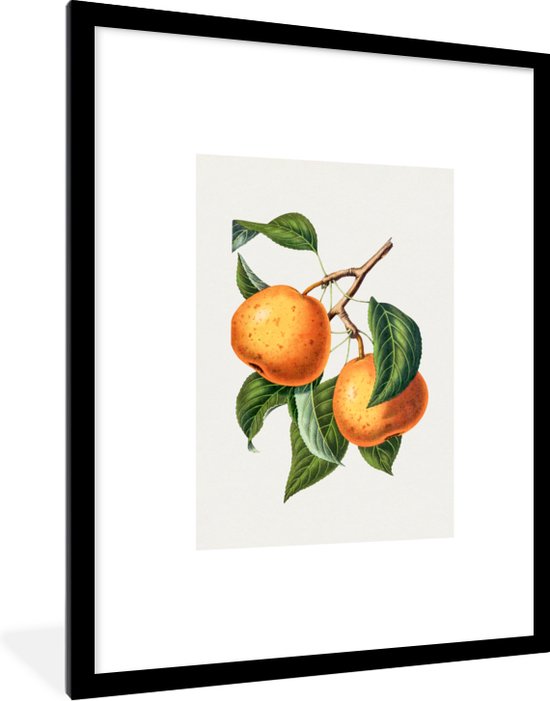 Fotolijst incl. Poster - Sinaasappel - Bladeren - Eten - 60x80 cm - Posterlijst