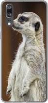 Geschikt voor Huawei P20 hoesje - Stokstaartje - Dier - Wild - Siliconen Telefoonhoesje