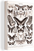 Canvas - Insecten - Vlinders - Dieren - Abstract - Vintage - Muurdecoratie - 90x120 cm