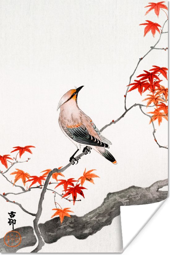 Poster Tak - Vogel - Japanse esdoorn - Scandinavisch - 60x90 cm