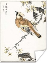 Poster Vogel - Japans - Boom - 90x120 cm