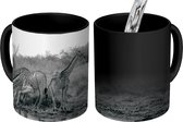 Magische Mok - Foto op Warmte Mok - Giraffes drinken uit meer in zwart-wit - 350 ML - Uitdeelcadeautjes