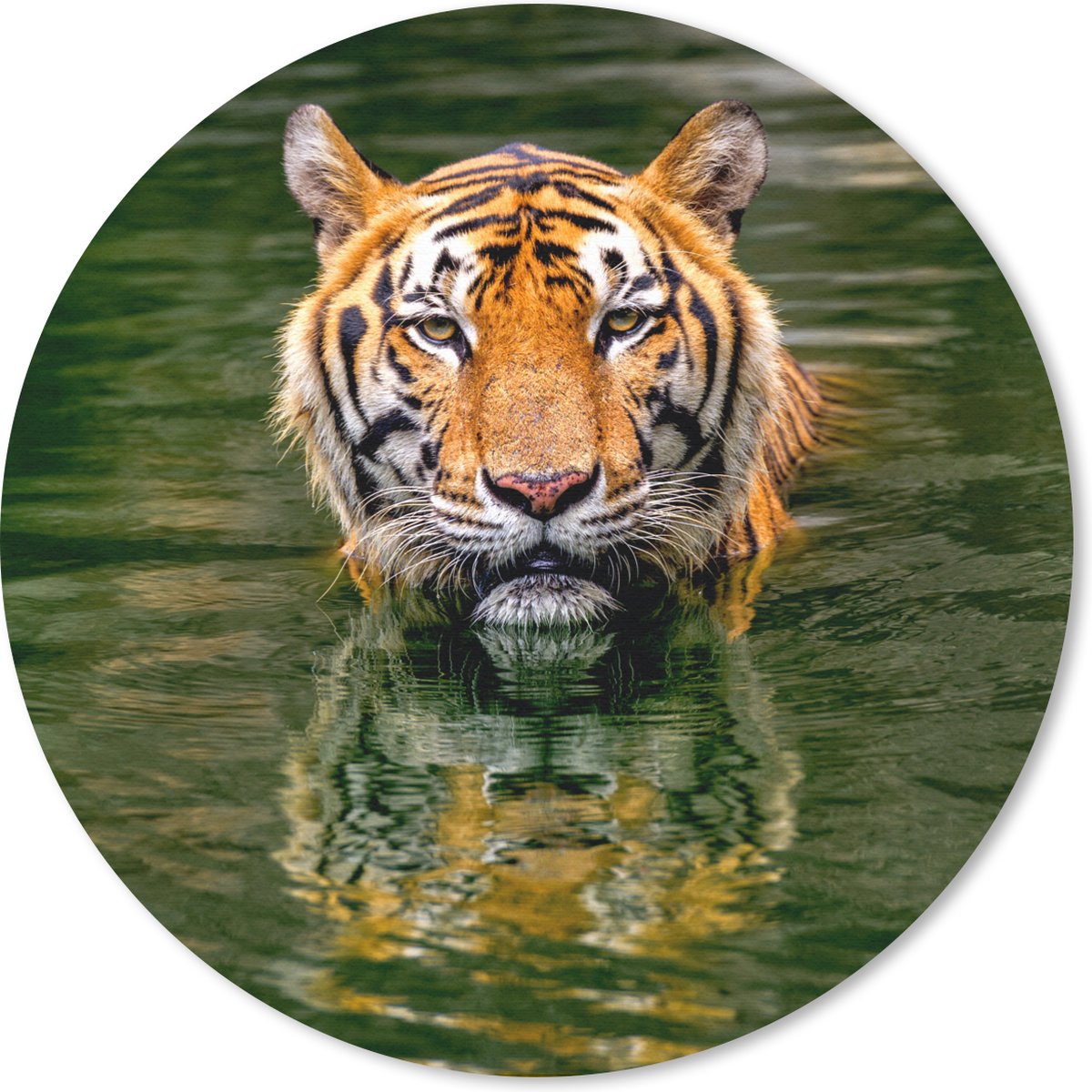 Muismat rond 20x20 cm - Mousepad Tijger in het water - Ronde muismatten