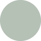 Blanco muurcirkel mint 2 stuks 10 cm / Dibond