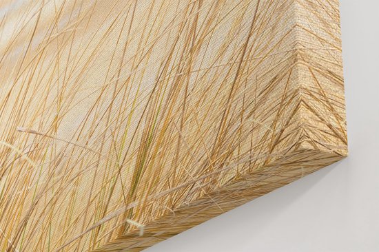 Artaza Toile Peinture Plage et Mer avec Végétation - 90x60 - Photo sur Toile - Impression sur Toile