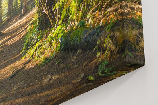 Artaza - Peinture Sur Toile - Sentier Dans La Forêt - 90x60 - Photo Sur Toile - Impression Sur Toile