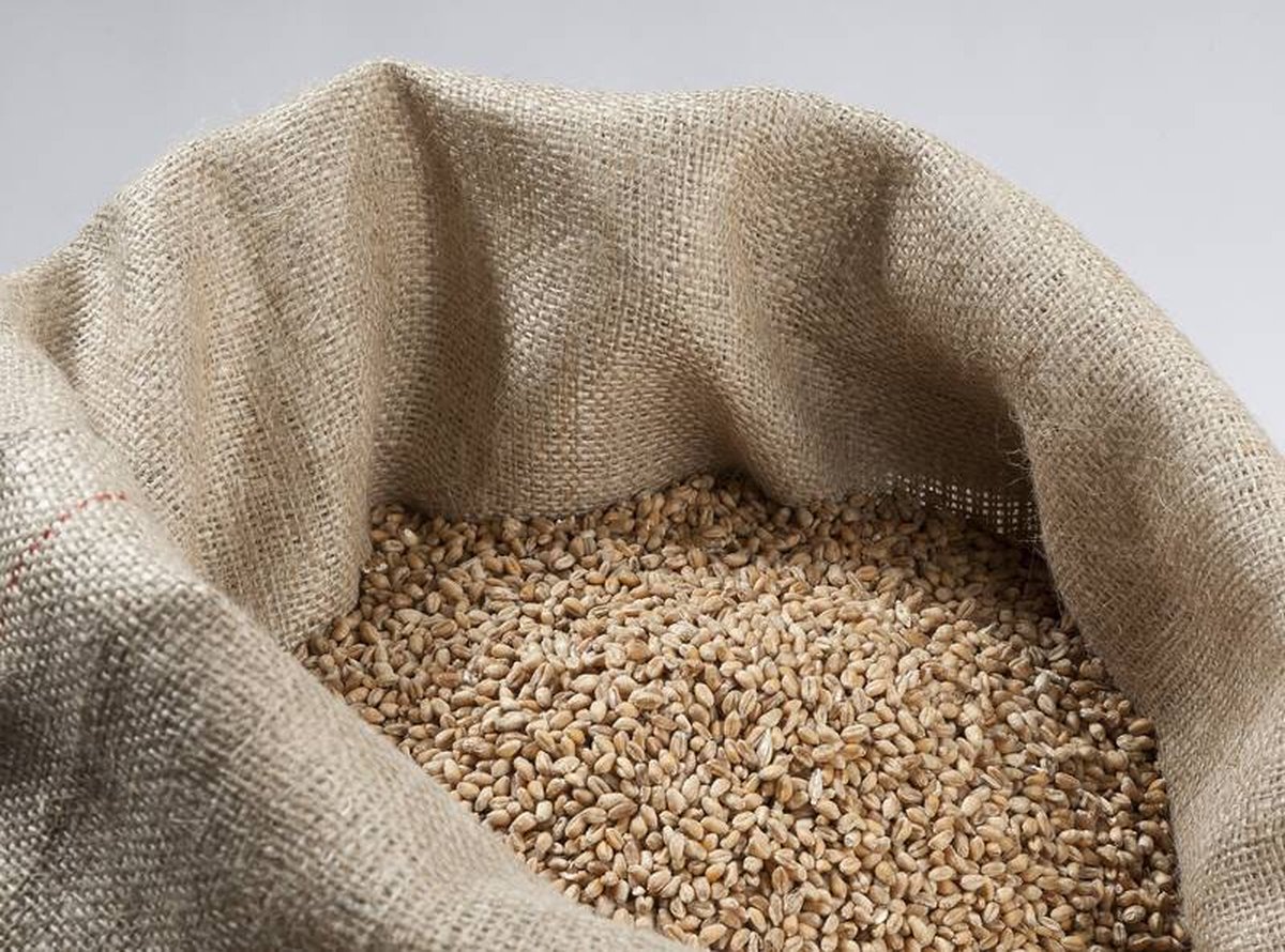 Aquagart Jutegewebe 215g/m² Jutematte Gartenjute Jute Stoff für