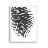 Poster Palmboom blad Links Zwart / Wit - Tropisch Blad - Planten Poster - Muurdecoratie - 70x50cm - PosterCity